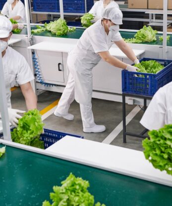 Un grupo de personas trabajando en una fábrica de Socas WOCK Securlite.