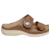 Taupe 1