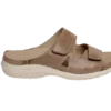 Taupe 1
